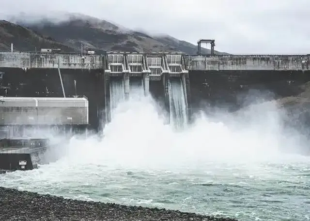AI and human illustration
